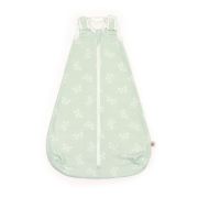 Sac de dormit 2 in 1, On The Move, Starry Mint, 6-18 LUNI, 0.5TOG, Ergobaby TNASLBMDSTRMNT5