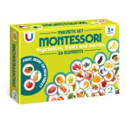 Set magneti montessori - fructe si legume