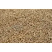 Saltea MyKids Fibra De Cocos Integral 105x70x6 (cm) - MYK00000939