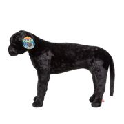 Catel labrador negru gigant din plus md2117