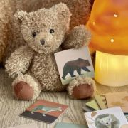 Joc memo padure, egmont toys egm_570088