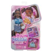 BARBIE DREAM BESTIES PAPUSA BARBIE BROOKLYN VIVMTHYC22