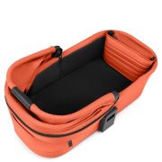 Landou Carrot Abc Design