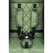 Carucior sport Elite Styler - verde- Fillikid