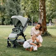 Carucior sport Avus 2 Pine ABC Design