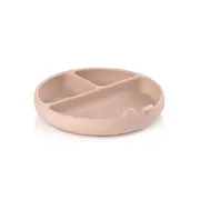 Farfurie BLW, Din silicon, Cu ventuze, 17 x 17 x 4 cm, BPA Free, Pale BYN8420421089347