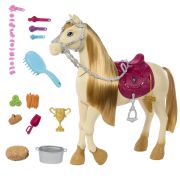 BARBIE MYSTERIES CALUT CU SUNETE SI ACCESORII VIVMTHXJ42