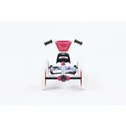 Kart BERG Buzzy Bloom