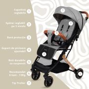 Carucior Sport AppeKids Travel, Ultracompact, Tip Troller - Grey KRTAK275916