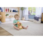FISHER PRICE JUCARIE SENZORIALA CAPIBARA VIVMTHYR54