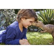 JURASSIC WORLD EPIC EVOLUTION DINOZAUR TYRANNOSAURUS REX VIVMTHXF53