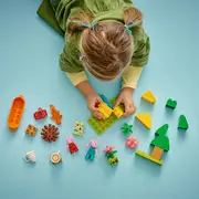 LEGO DUPLO EXCURSIE CU CORTUL 10452 VIVLEGO10452