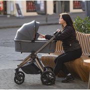 Carucior 2 in 1 (max. 22 Kg) Carrello OMEGA Excellent Grey PMICCRL-6530/1-GREY