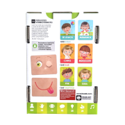Headu Montessori - Carti Emotii Si Actiuni In Romana ARTHE53139