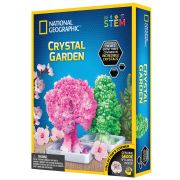 National Geographic - Kit Creativ Gradina De Cristale ARTNG21025