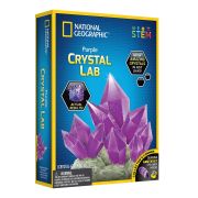 National Geographic - Kit Creativ Laborator De Crestere Cristale Violet ARTNG29684