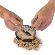 National Geographic - Kit Creativ Sa Cautam Dinozauri ARTNG29653