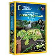 National Geographic - Kit creativ laborator de disectie soparla ARTNG23036