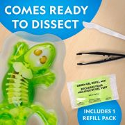 National Geographic - Kit creativ laborator de disectie soparla ARTNG23036