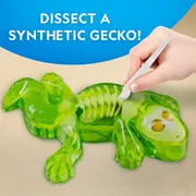 National Geographic - Kit creativ laborator de disectie soparla ARTNG23036