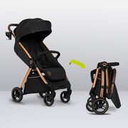 Carucior sport, Lionelo, Ingrid, Capotina impermeabila cu filtru UPF50+, Pana la 22 Kg, Spatar reglabil in 3 pozitii, Include suport pahar si plasa de tantari, Sistem pentru pliere automata, 6 luni+, Negru BYNLO-INGRID_BLACK_ONYX