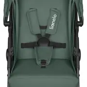 Carucior sport, Lionelo, Emma One, Cu tavita, Suport pahar, Plasa de tantari, Roti EVA, Maner reglabil, Pana la 22 kg, 6 luni+, Conform cu EN1888-1, Verde BYNLO-EMMA_ONE_GREEN_FOREST