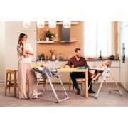 Scaun de masa Chicco Polly Armonia Carrara, 0luni+ CHC8714043-8
