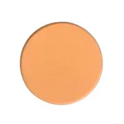 Buretel pentru fond de ten, Chique 940