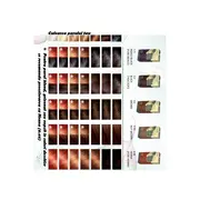 Vopsea de par pulbere, pe baza de plante, naturala 100%, Venita, Nr 4.34, Blond Aluna, 100g