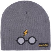 Caciula dublata Harry Potter, 6 - 14 ani