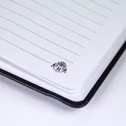 Set Birotica Harry Potter Gryffindor