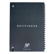 Set Birotica Harry Potter Gryffindor