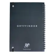 Set Birotica Harry Potter Gryffindor