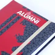 Set Birotica Harry Potter Gryffindor