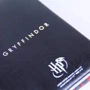 Set Birotica Harry Potter Gryffindor