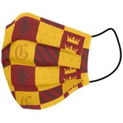 Masca faciala reutilizabila pentru copii, 5 - 10 ani, Harry Potter