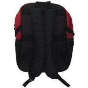 Rucsac Harry Potter Fan Fight Gryffindor, 31x44x18 cm