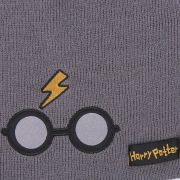 Caciula dublata Harry Potter, 6 - 14 ani