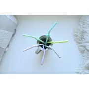 SET 6 BUC PAIE SILICON REUTILIZABILE MODEL ANIMALE MELII VIVML18100