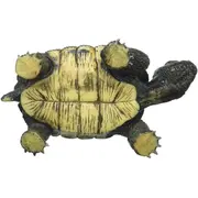 Broasca testoasa bl4007176635537