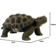 Broasca testoasa bl4007176635537