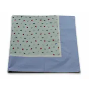 Paturica Stelute somnoroase cu albastru, cu spate finet KDEPF80X80SS