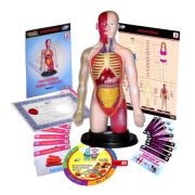 Kit educational mulaj corpul uman si sistemul digestiv - okeml99113