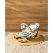 Balansoar, Jane, Kalm, Pliabil, Cu bara de jucarii si spatar reglabil, Cu baza din lemn, Conform cu standardul european de siguranta EN 12790:2023, Botanic BYN8420421090909