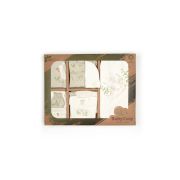 Set de 10 piese pentru nou nascut, 100% bumbac organic, Rabbit, BabyCosy JEMBC-CSY5113