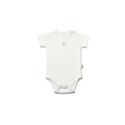 Set de 10 piese pentru nou nascut, 100% bumbac organic, TeddyBear, BabyCosy JEMBC-CSY8125
