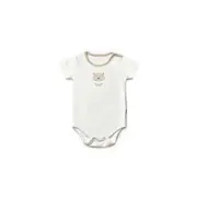 Set de 3 body TeddyBear, BabyCosy, 100% bumbac (Marime: 12-18 Luni) JEMBC-CSY8122-12