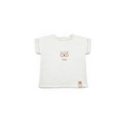 Set tricou ecru cu pantaloni scurti TeddyBear, 100% bumbac organic, BabyCosy (Marime: 3-6 Luni) JEMBC-CSYM7104-3