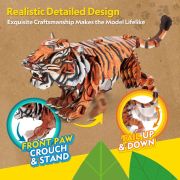 Cubic Fun - National Geographic Animale Salbatice Puzzle 3D Tigru Siberian 87 piese ARTCUDS1071h