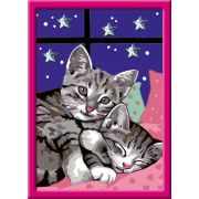 Ravensburger - CreArt pictura pe numere pentru copii pisicute somnoroase cu pietre sclipitoare ARTRVSPBN20213